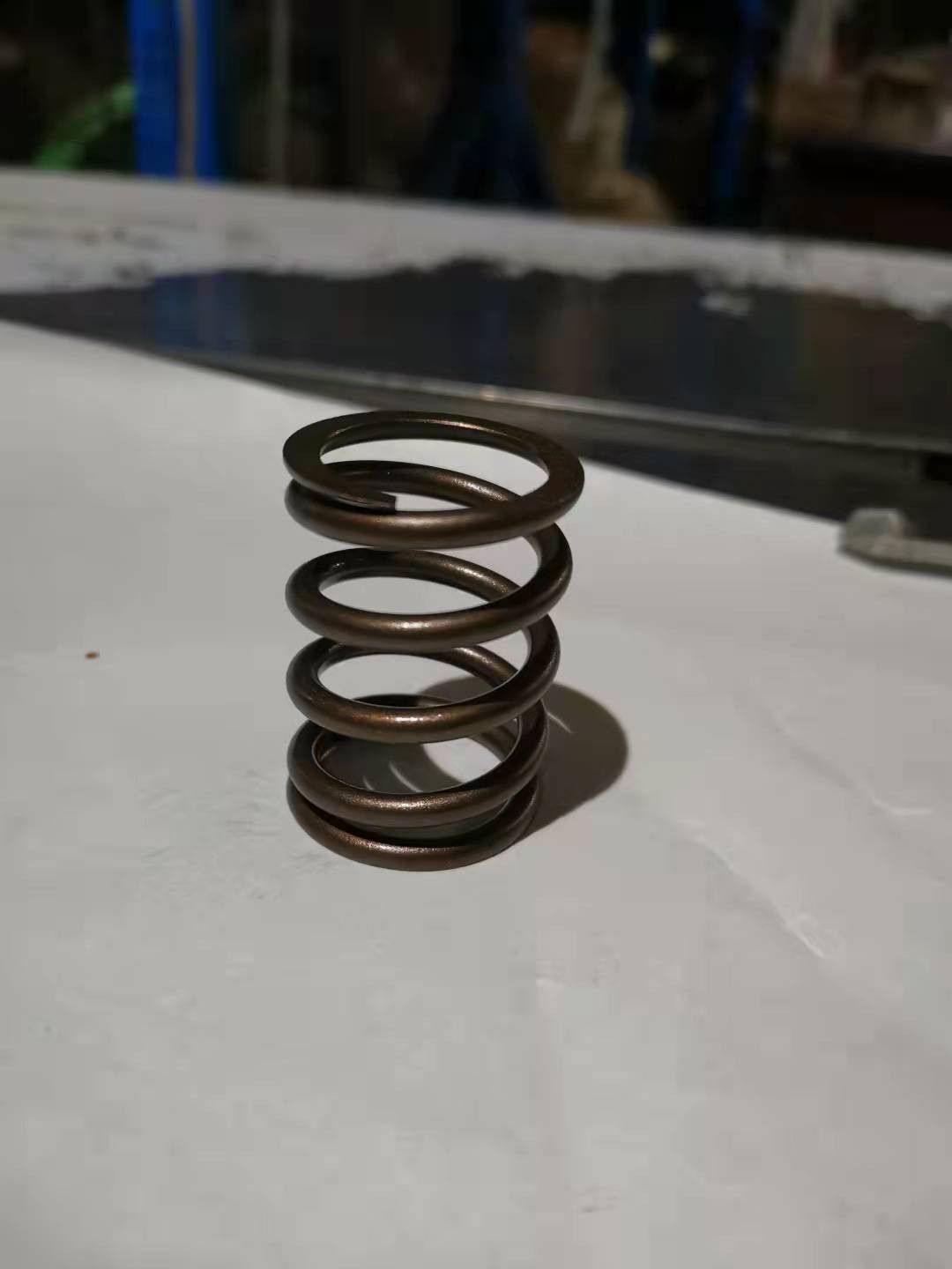 2011 spring.jpg 2011 spring.jpg