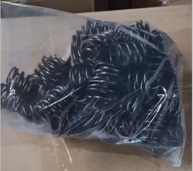 04179633 spring.jpg 04179633 spring.jpg